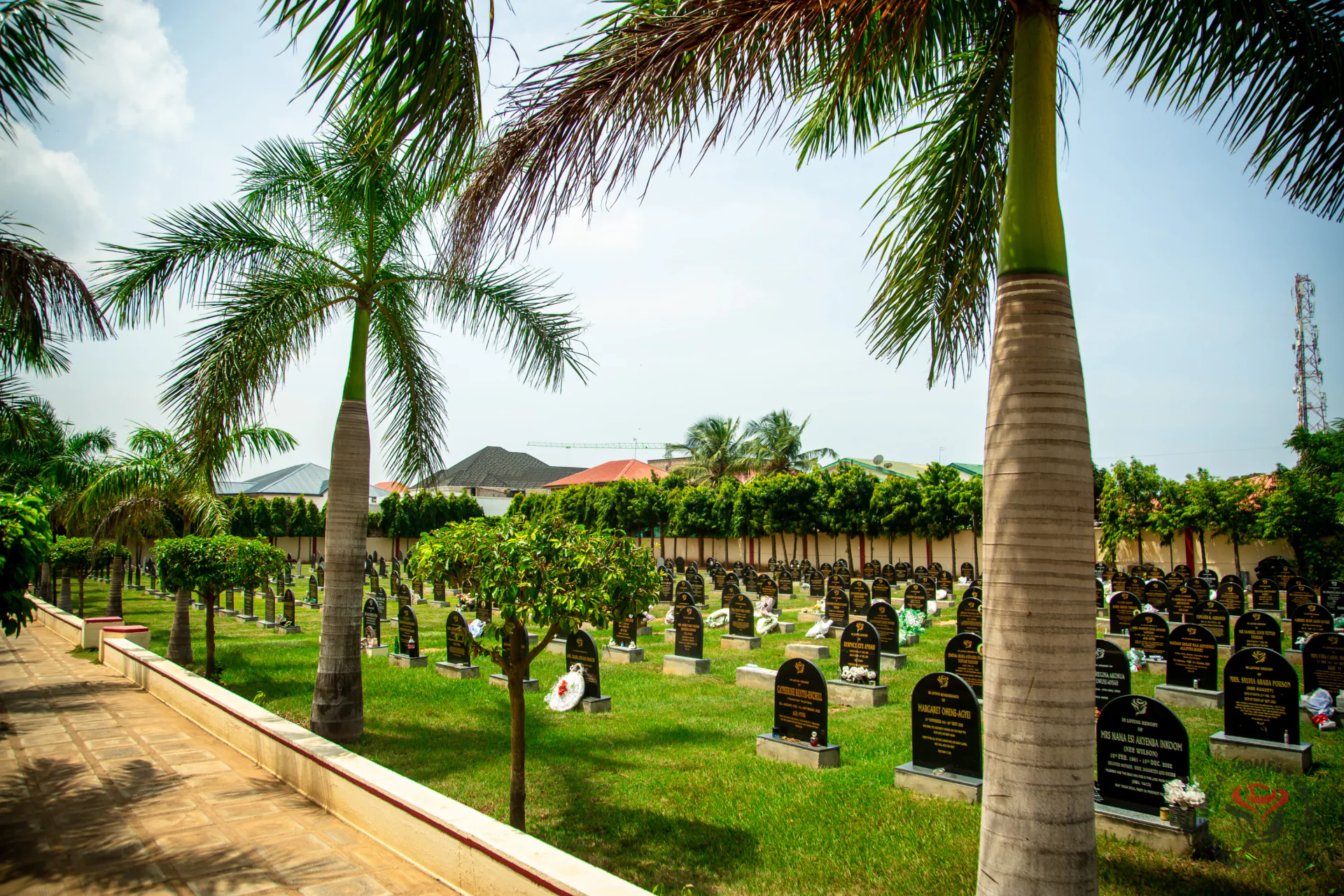 The cemetery with palms and open sky