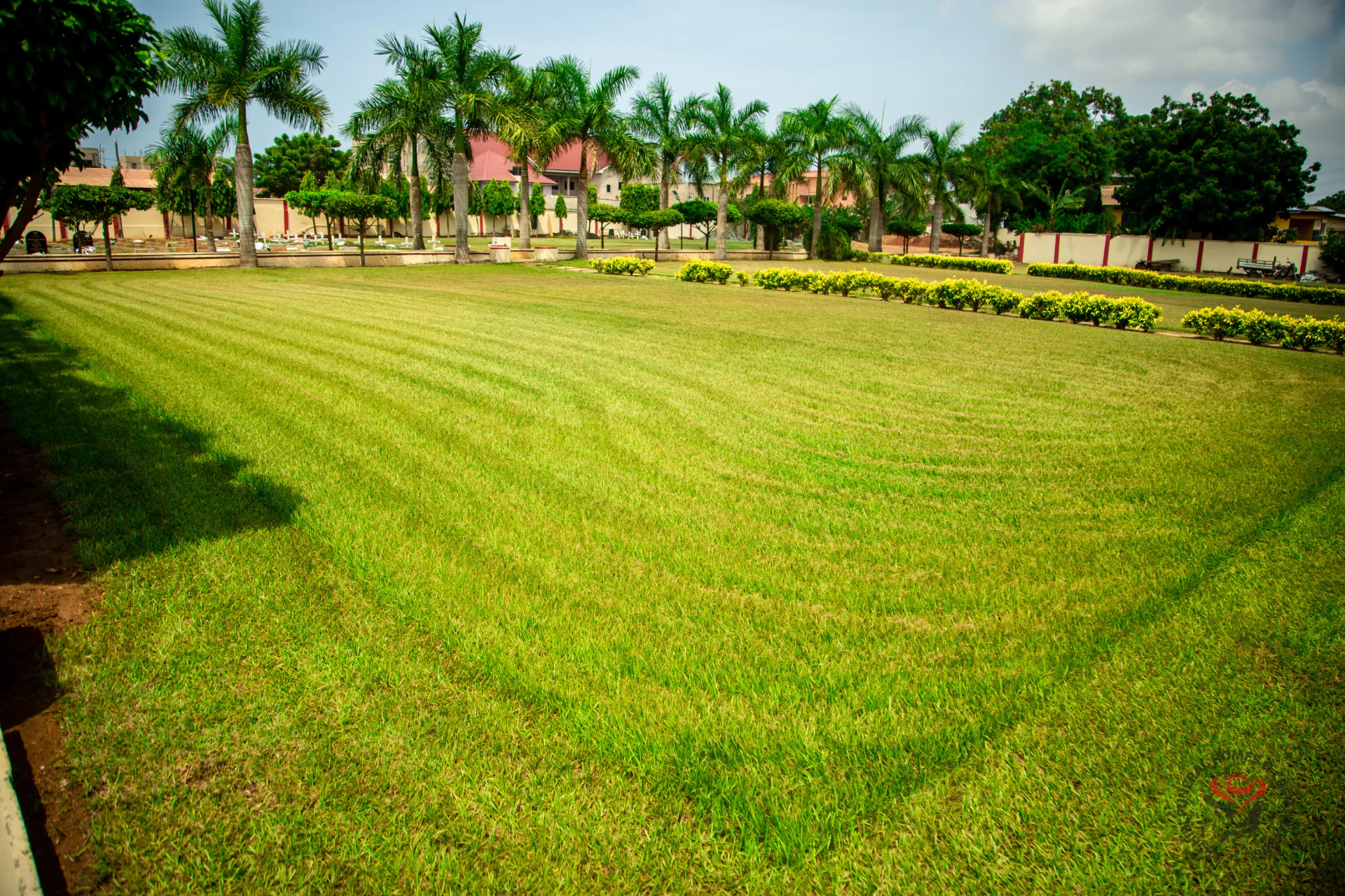 The Lashibi grounds, lawns and trees